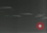 Immagine di Gli uccelli United States USA, 1955, secondo 14 filmato di repertorio 65675065963