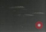 Immagine di Gli uccelli United States USA, 1955, secondo 15 filmato di repertorio 65675065963