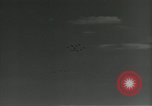 Immagine di Gli uccelli United States USA, 1955, secondo 16 filmato di repertorio 65675065963