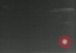 Immagine di Gli uccelli United States USA, 1955, secondo 17 filmato di repertorio 65675065963
