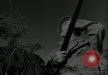 Immagine di Gli uccelli United States USA, 1955, secondo 19 filmato di repertorio 65675065963