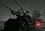 Immagine di Gli uccelli United States USA, 1955, secondo 23 filmato di repertorio 65675065963