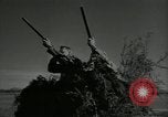 Immagine di Gli uccelli United States USA, 1955, secondo 24 filmato di repertorio 65675065963