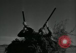 Immagine di Gli uccelli United States USA, 1955, secondo 25 filmato di repertorio 65675065963