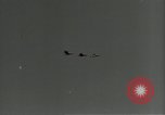 Immagine di Gli uccelli United States USA, 1955, secondo 28 filmato di repertorio 65675065963