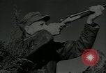 Immagine di Gli uccelli United States USA, 1955, secondo 32 filmato di repertorio 65675065963