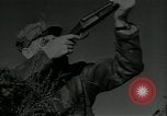 Immagine di Gli uccelli United States USA, 1955, secondo 33 filmato di repertorio 65675065963