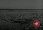 Immagine di Gli uccelli United States USA, 1955, secondo 34 filmato di repertorio 65675065963