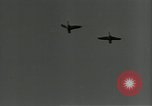 Immagine di Gli uccelli United States USA, 1955, secondo 35 filmato di repertorio 65675065963