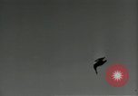 Immagine di Gli uccelli United States USA, 1955, secondo 38 filmato di repertorio 65675065963