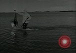 Immagine di Gli uccelli United States USA, 1955, secondo 40 filmato di repertorio 65675065963