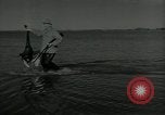 Immagine di Gli uccelli United States USA, 1955, secondo 42 filmato di repertorio 65675065963