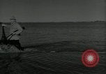 Immagine di Gli uccelli United States USA, 1955, secondo 43 filmato di repertorio 65675065963