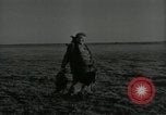 Immagine di Gli uccelli United States USA, 1955, secondo 47 filmato di repertorio 65675065963