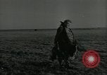 Immagine di Gli uccelli United States USA, 1955, secondo 48 filmato di repertorio 65675065963