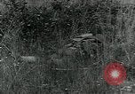 Standbild Springfield Armory Springfield Massachusetts USA, 1955, aus Sekunde 17 historischem Filmmaterial Videoclip 65675065964