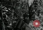 Image of US Army soldiers fire M-1 rifles World War 2 Pearl Harbor Hawaii USA, 1944, second 17 stock footage video 65675065966