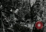 Image of US Army soldiers fire M-1 rifles World War 2 Pearl Harbor Hawaii USA, 1944, second 18 stock footage video 65675065966