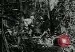 Image of US Army soldiers fire M-1 rifles World War 2 Pearl Harbor Hawaii USA, 1944, second 20 stock footage video 65675065966