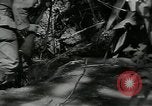 Image of US Army soldiers fire M-1 rifles World War 2 Pearl Harbor Hawaii USA, 1944, second 32 stock footage video 65675065966