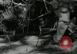 Image of US Army soldiers fire M-1 rifles World War 2 Pearl Harbor Hawaii USA, 1944, second 35 stock footage video 65675065966