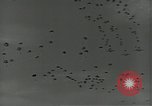 Image of US Army soldiers fire M-1 rifles World War 2 Pearl Harbor Hawaii USA, 1944, second 42 stock footage video 65675065966
