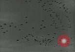 Image of US Army soldiers fire M-1 rifles World War 2 Pearl Harbor Hawaii USA, 1944, second 43 stock footage video 65675065966