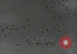 Image of US Army soldiers fire M-1 rifles World War 2 Pearl Harbor Hawaii USA, 1944, second 44 stock footage video 65675065966