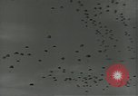 Image of US Army soldiers fire M-1 rifles World War 2 Pearl Harbor Hawaii USA, 1944, second 45 stock footage video 65675065966