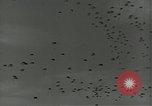 Image of US Army soldiers fire M-1 rifles World War 2 Pearl Harbor Hawaii USA, 1944, second 46 stock footage video 65675065966