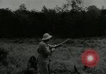 Image of M-1 rifle United States USA, 1955, second 11 stock footage video 65675065967