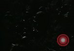 Image of sniper scope United States USA, 1955, second 16 stock footage video 65675065969
