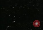 Image of sniper scope United States USA, 1955, second 17 stock footage video 65675065969