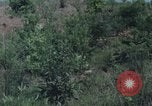 Image of individual camouflage United States USA, 1967, second 60 stock footage video 65675065971