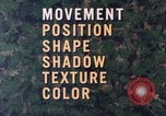 Image of individual camouflage United States USA, 1967, second 5 stock footage video 65675065972