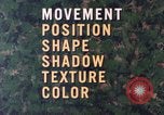 Image of individual camouflage United States USA, 1967, second 7 stock footage video 65675065972