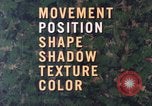 Image of individual camouflage United States USA, 1967, second 10 stock footage video 65675065972
