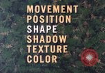 Image of individual camouflage United States USA, 1967, second 11 stock footage video 65675065972