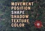 Image of individual camouflage United States USA, 1967, second 13 stock footage video 65675065972