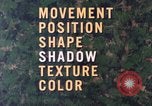 Image of individual camouflage United States USA, 1967, second 14 stock footage video 65675065972