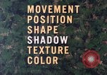 Image of individual camouflage United States USA, 1967, second 15 stock footage video 65675065972