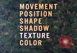 Image of individual camouflage United States USA, 1967, second 19 stock footage video 65675065972