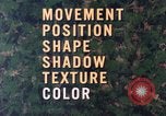 Image of individual camouflage United States USA, 1967, second 20 stock footage video 65675065972