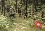 Image of individual camouflage United States USA, 1967, second 25 stock footage video 65675065972
