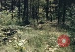 Image of individual camouflage United States USA, 1967, second 40 stock footage video 65675065972