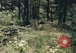 Image of individual camouflage United States USA, 1967, second 41 stock footage video 65675065972