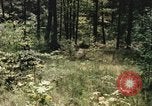 Image of individual camouflage United States USA, 1967, second 42 stock footage video 65675065972