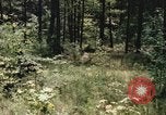 Image of individual camouflage United States USA, 1967, second 43 stock footage video 65675065972