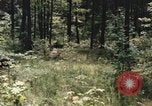 Image of individual camouflage United States USA, 1967, second 44 stock footage video 65675065972
