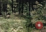 Image of individual camouflage United States USA, 1967, second 45 stock footage video 65675065972
